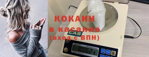 дмт Богородск