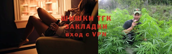 PSILOCYBIN Белокуриха
