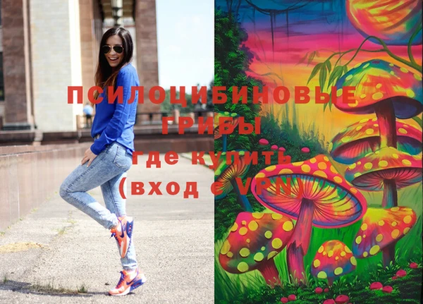 стаф Белоозёрский