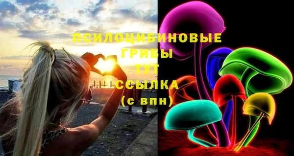 амф Богданович