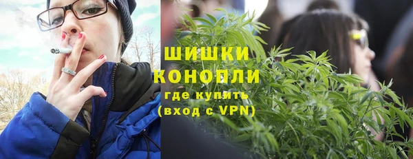 PSILOCYBIN Белокуриха
